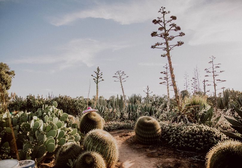 listing gallery item