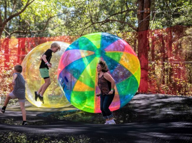 WildNets - A Sky Adventure Park has opened in Port Macquarie