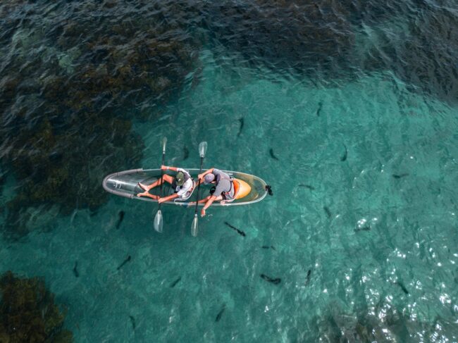 Best things to do at Goat Island Marine Reserve