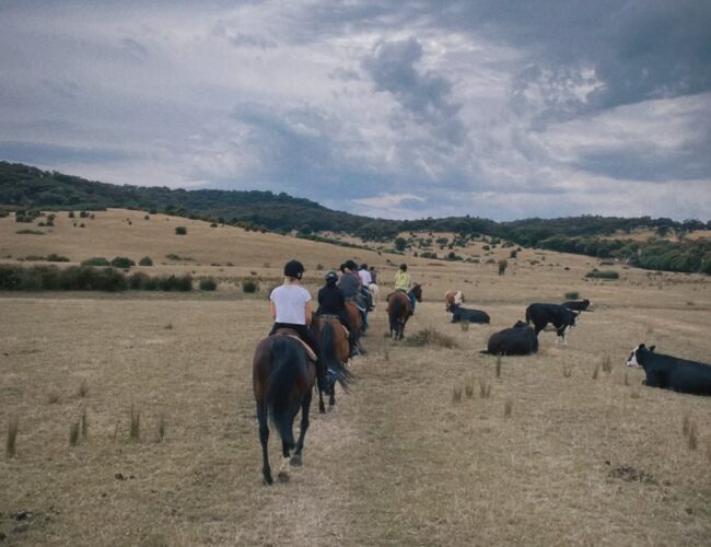 Uncle Nev's Trail Riding