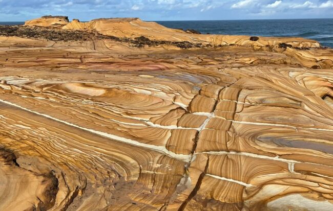 Sydney’s Bouddi National Park – Scenic Coastal Hike to the Iconic Rocks