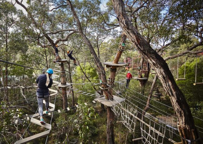 Enchanted Adventure - Melbourne Tree Surfing