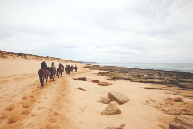 Mornington Seaside Horse Riding – Gunnamatta Trail Rides