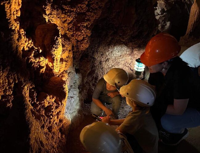 Wellington Caves - Sydney Cave Exploration