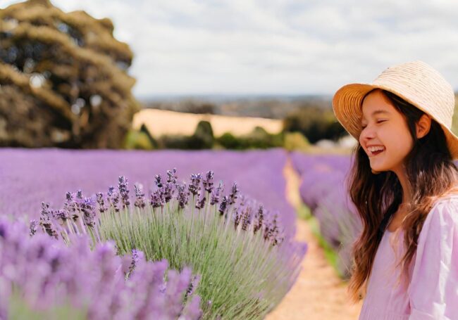 Red Hill Lavender Farm – Lavender Farm near Mornington