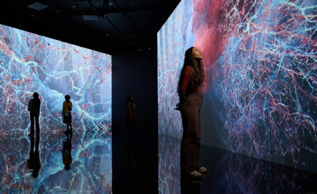 Marshmallow Laser Feast at Melbourne ACMI