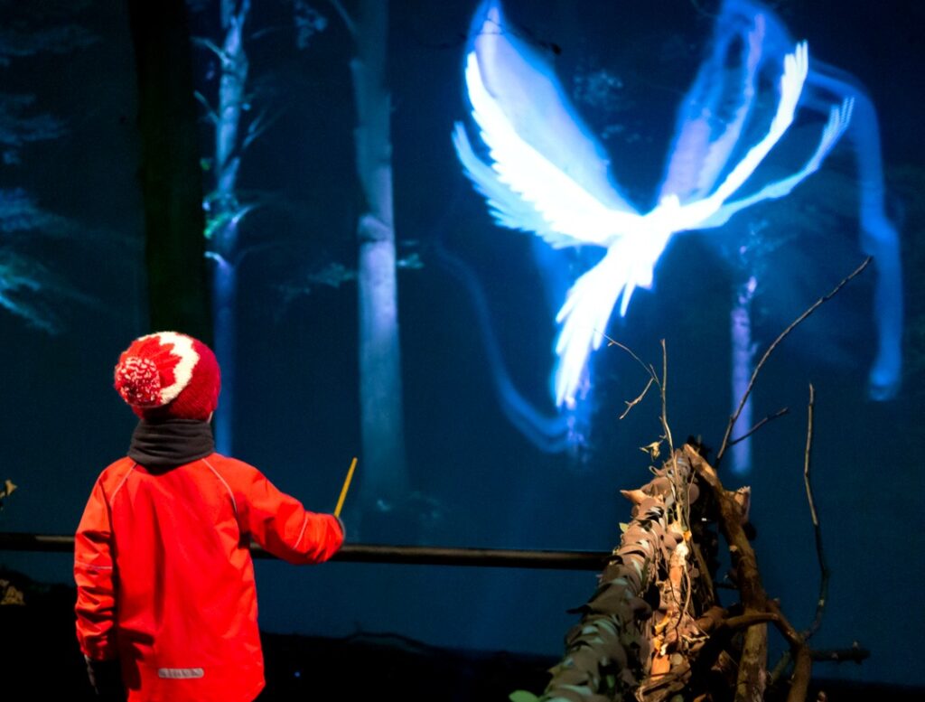 Diving into Wizardry - Harry Potter: A Forbidden Forest Experience in Melbourne