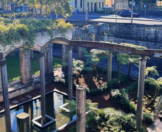 The Secret Garden in Sydney Paddington