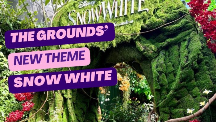 The Grounds’ New Theme – Snow White