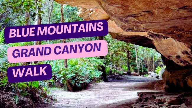 Blue Mountains Grand Canyon Walk