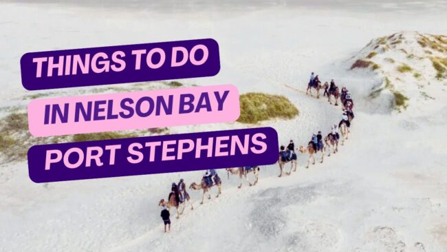 Things to do in Nelson Bay Port Stephens