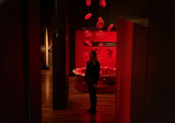 Bloodsuckers Exhibition at Sydney Australian Museum Review
