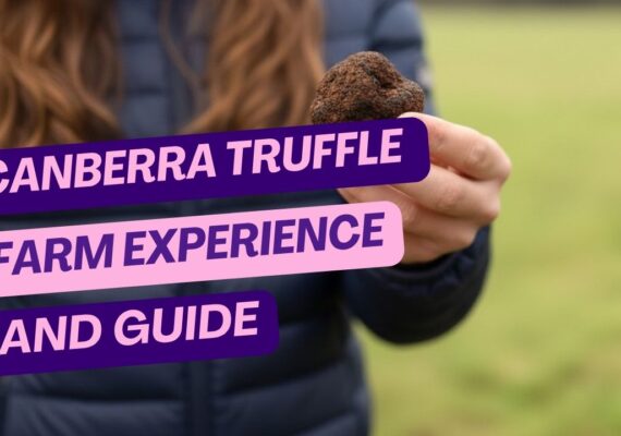 Canberra Truffle Farm Experience and Truffle Hunting Guide