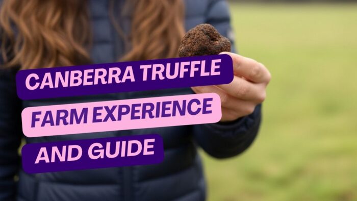 Canberra Truffle Farm Experience and Truffle Hunting Guide