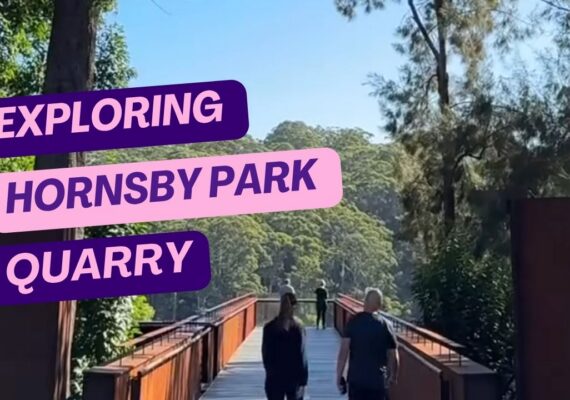 Exploring Hornsby Park Quarry