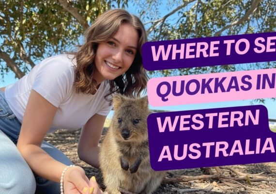 Where to See Quokkas in Western Australia