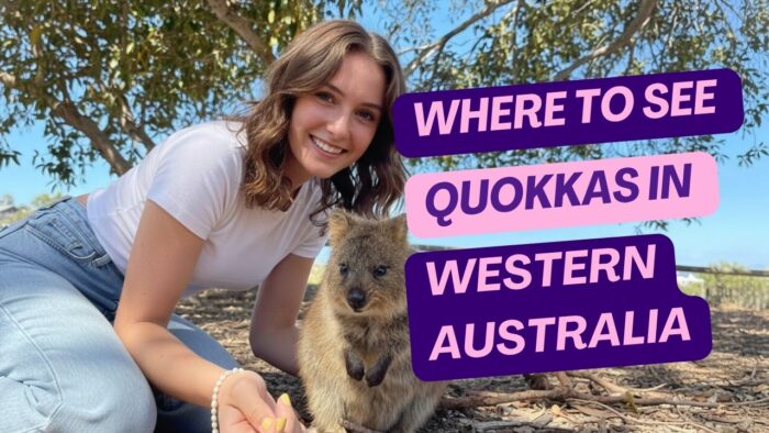 Where to See Quokkas in Western Australia