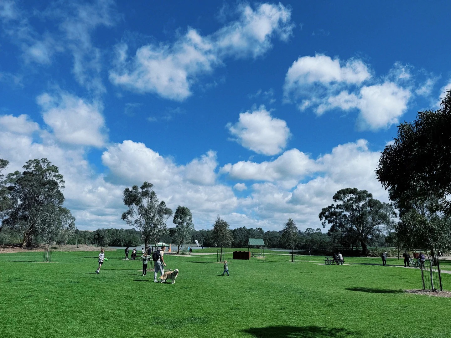 Lilydale Lake Playground
