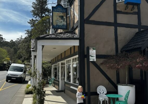 Sassafras Village