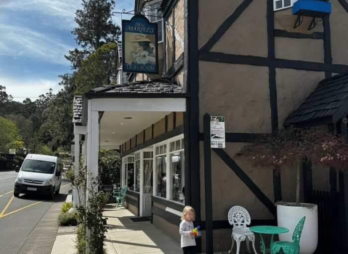 Sassafras Village