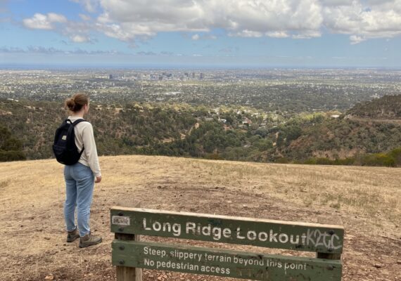 Long Ridge Lookout