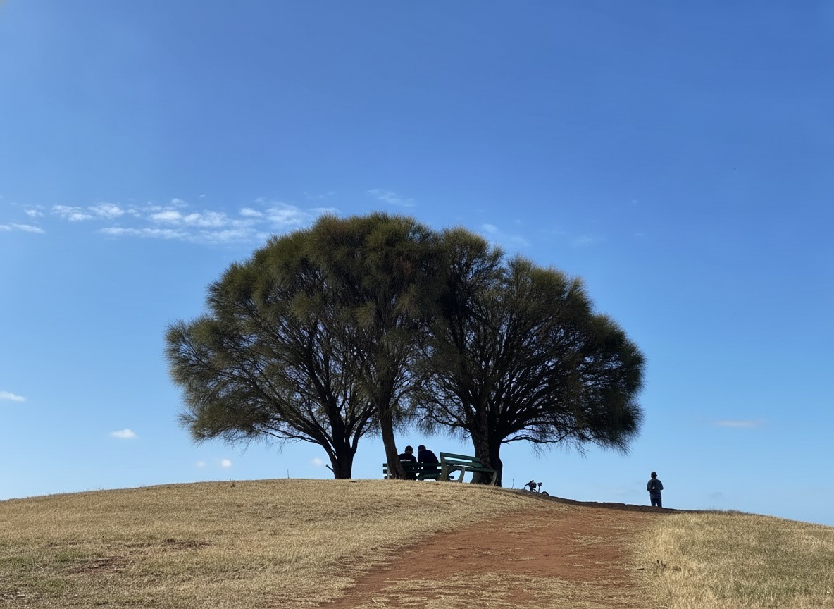 Long Ridge Lookout review