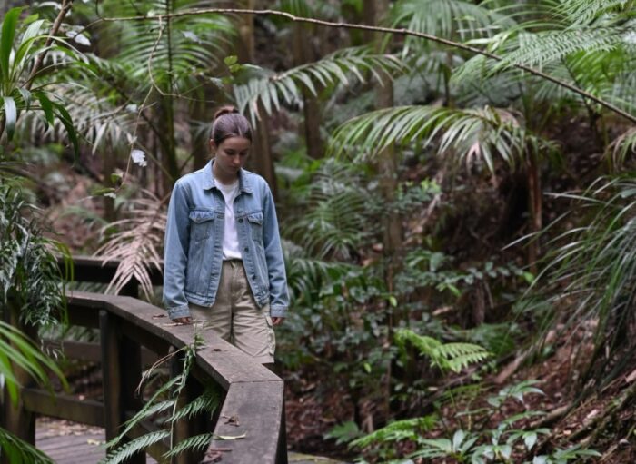 Buderim Rainforest Walk