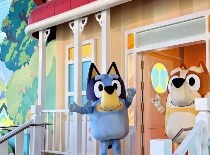 80 Best Bluey Trivia Questions & Answers