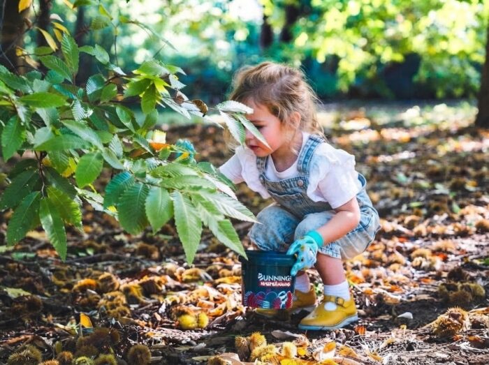 Bella-Vista Farm Chestnut Picking Review | The Patch, Melbourne