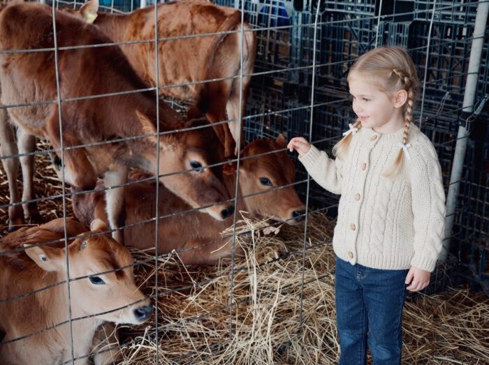 Caldermeade Farm Review: Is the Free Petting Zoo Worth the Drive?
