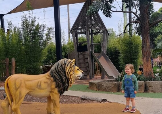 John Wearn Reserve Playground