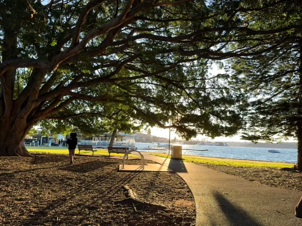 Lyne Park Playground