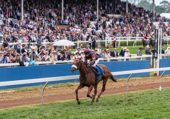 Melbourne Cup Trivia: 84 Questions & Answers