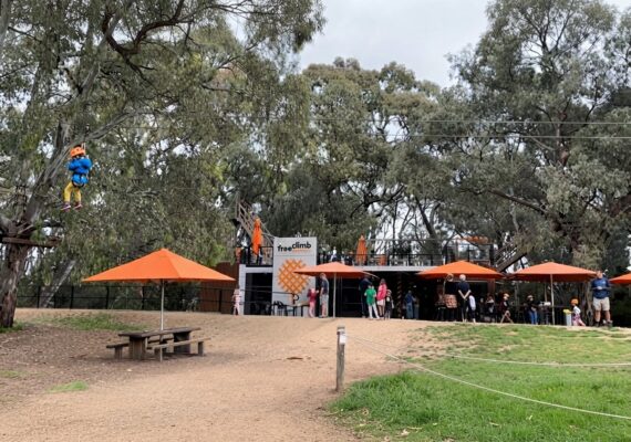 TreeClimb Adelaide Review — Prices, Height Rules & What to Know Before You Go
