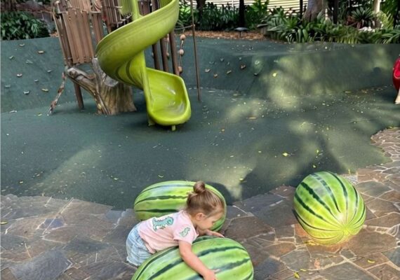 Roma Street Parkland with Kids - Playgrounds, Free Entry and What to Know Before You Go