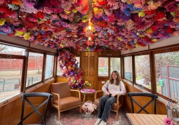 Bendigo Tulip Festival - What's Free, What's Ticketed, What to Expect