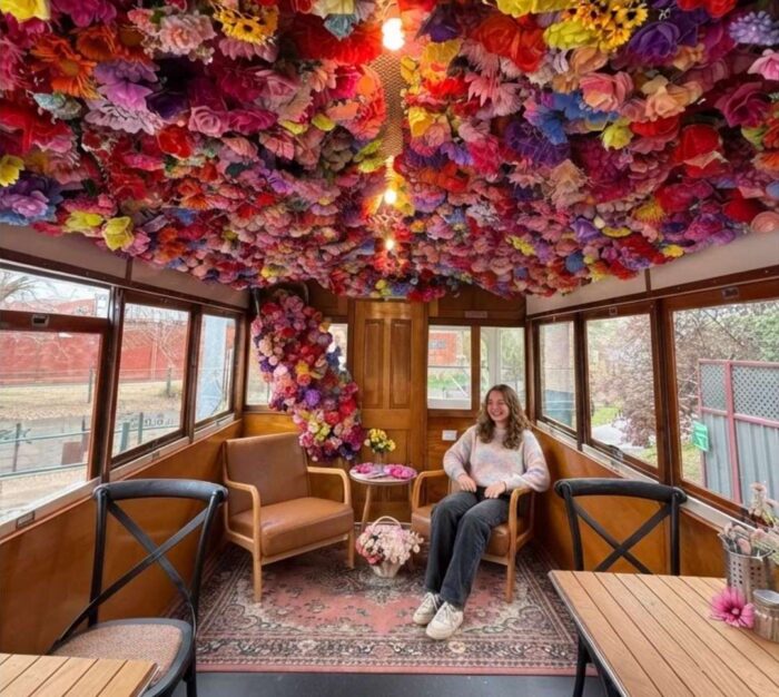 Bendigo Tulip Festival - What's Free, What's Ticketed, What to Expect