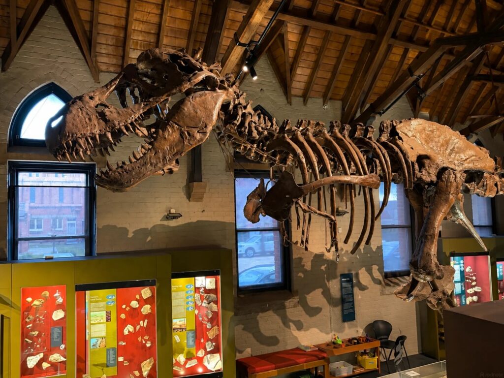 Best Dinosaur Parks near Sydney The Australian Fossil and Mineral Museum, Bathurst