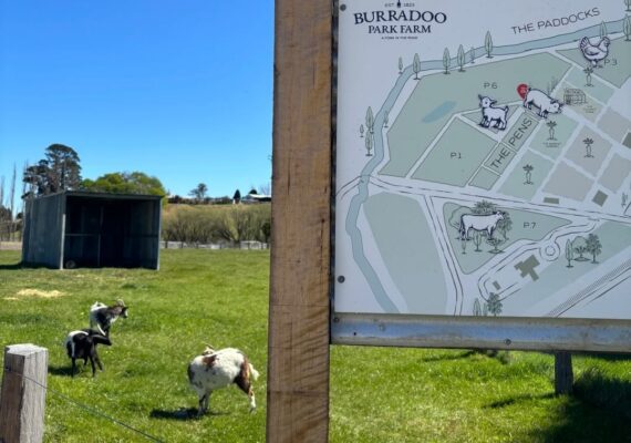 Burradoo Park Farm Reviews
