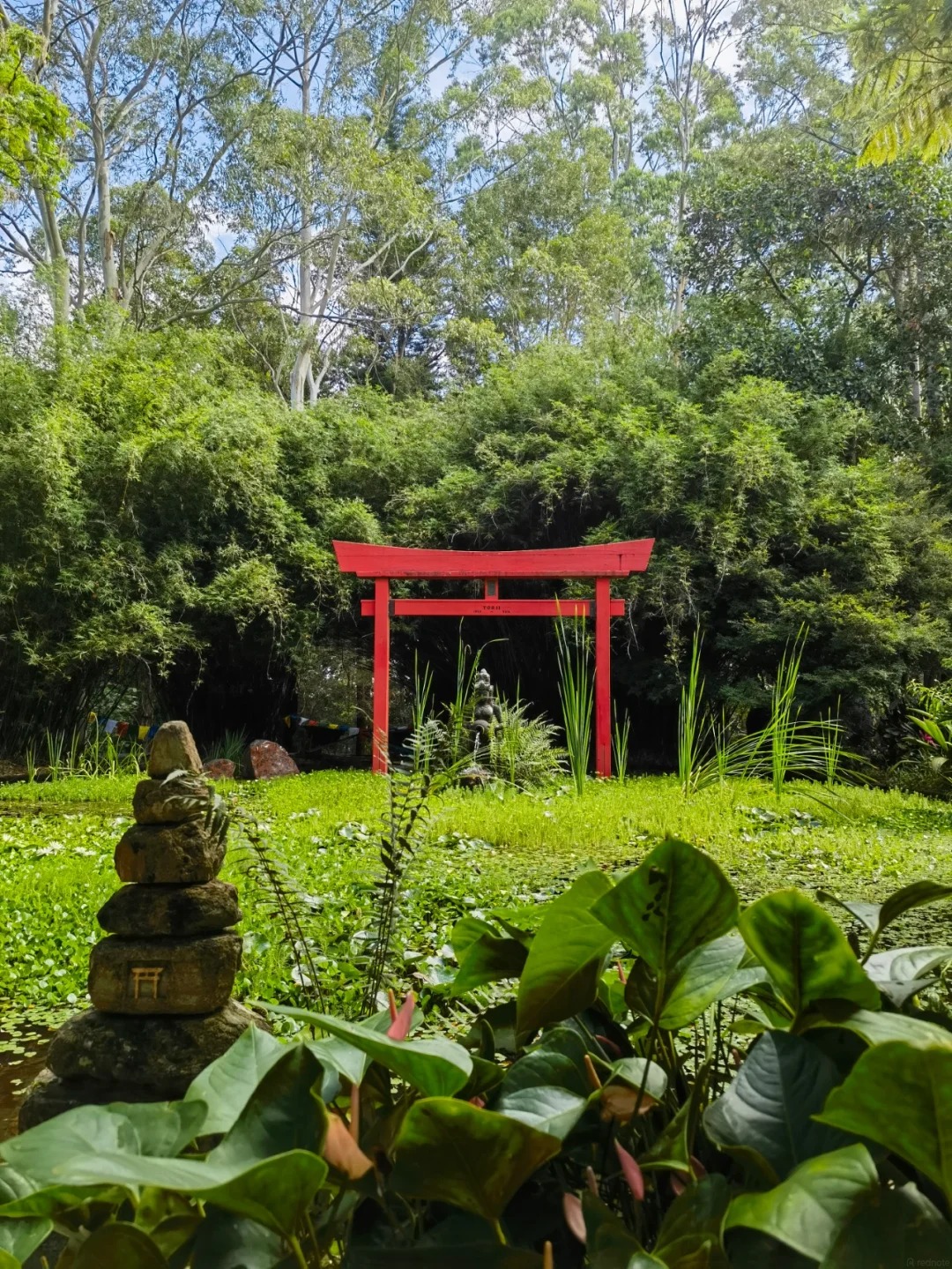 Crystal Castle and Shambhala Gardens Reviews