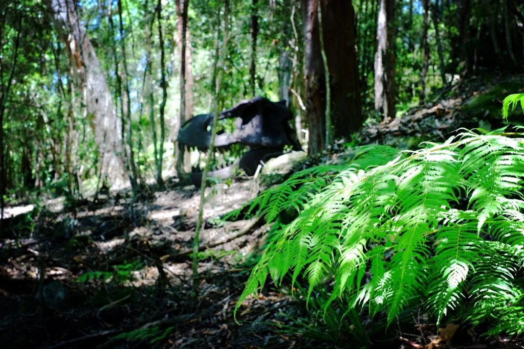 Best Dinosaur Parks near Sydney Dinosaur Valley at Scenic World, Blue Mountains 