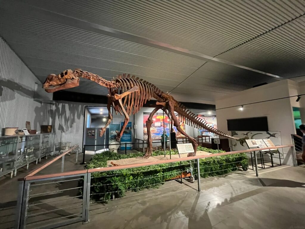 Flinders Discovery Centre Must Visit Dinosaur Parks near Brisbane