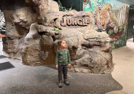 Jungle Adventure Play Tingalpa Review