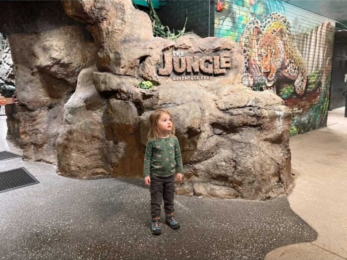 Jungle Adventure Play Tingalpa Review