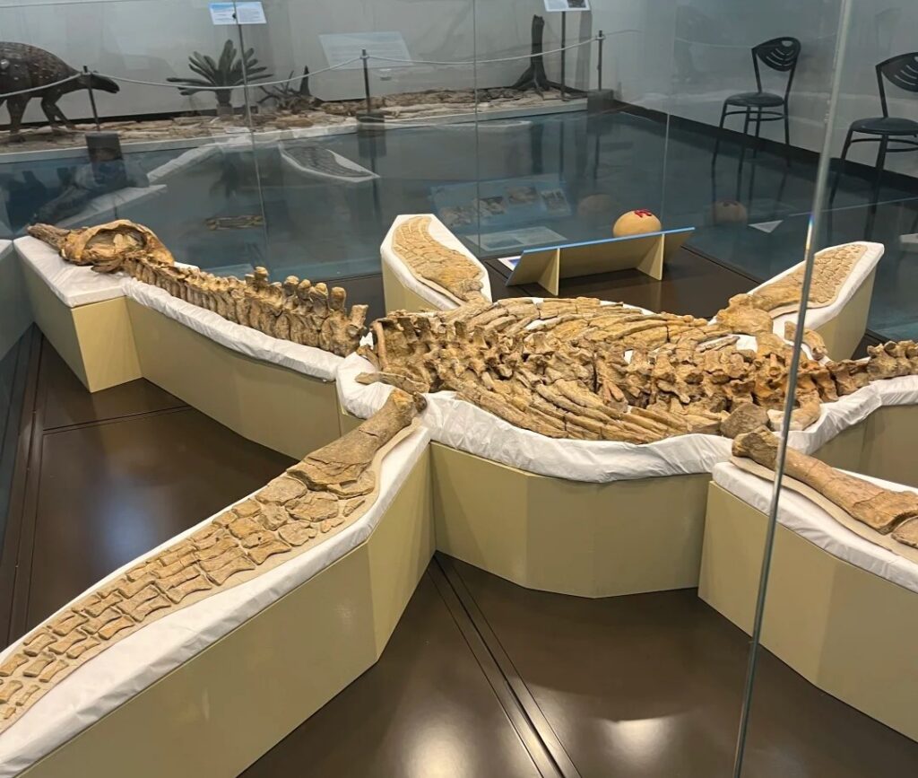 Kronosaurus Korner Must Visit Dinosaur Parks near Brisbane