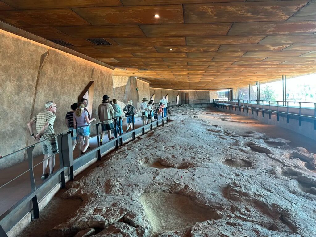 Must Visit Dinosaur Parks near Brisbane The Australian Age of Dinosaurs museum 