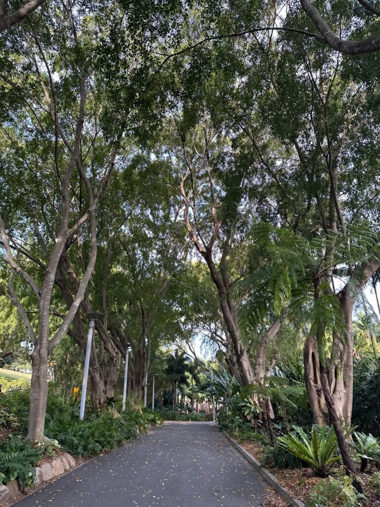 Roma Street Parkland, Brisbane CBD