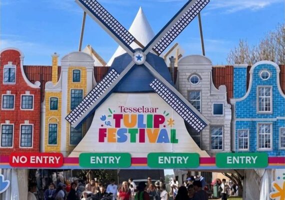 Tesselaar Tulip Festival 2026 Review