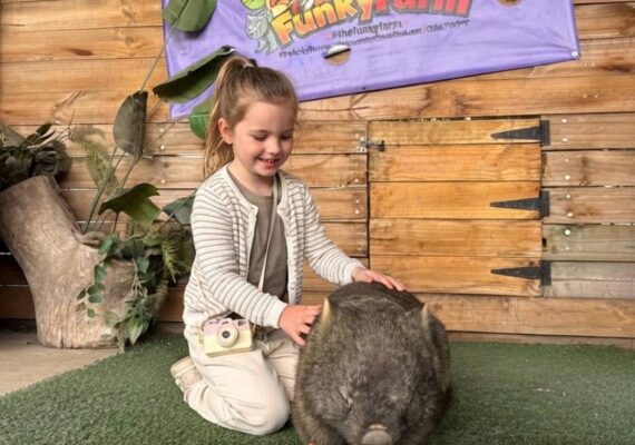 The Funky Farm Reviews