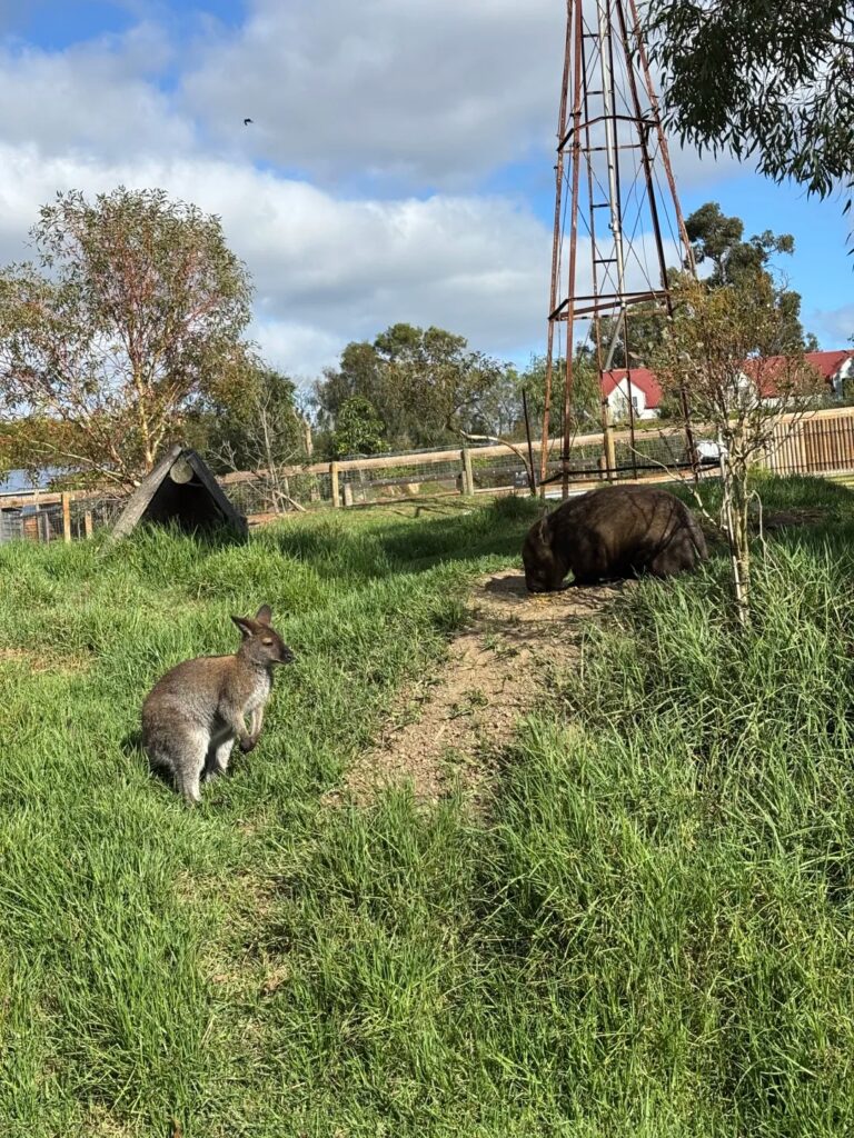 The Funky Farm Reviews